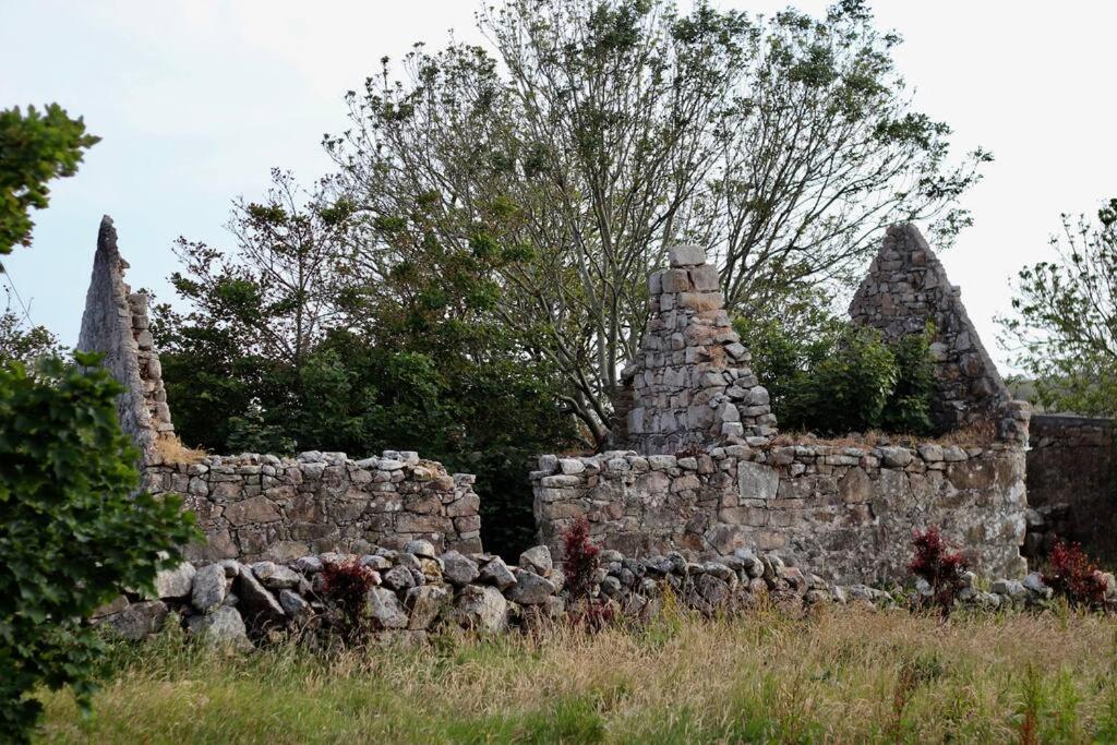 דירות גלוואיי Curlews Rest - Gateway To The Aran Islands מראה חיצוני תמונה